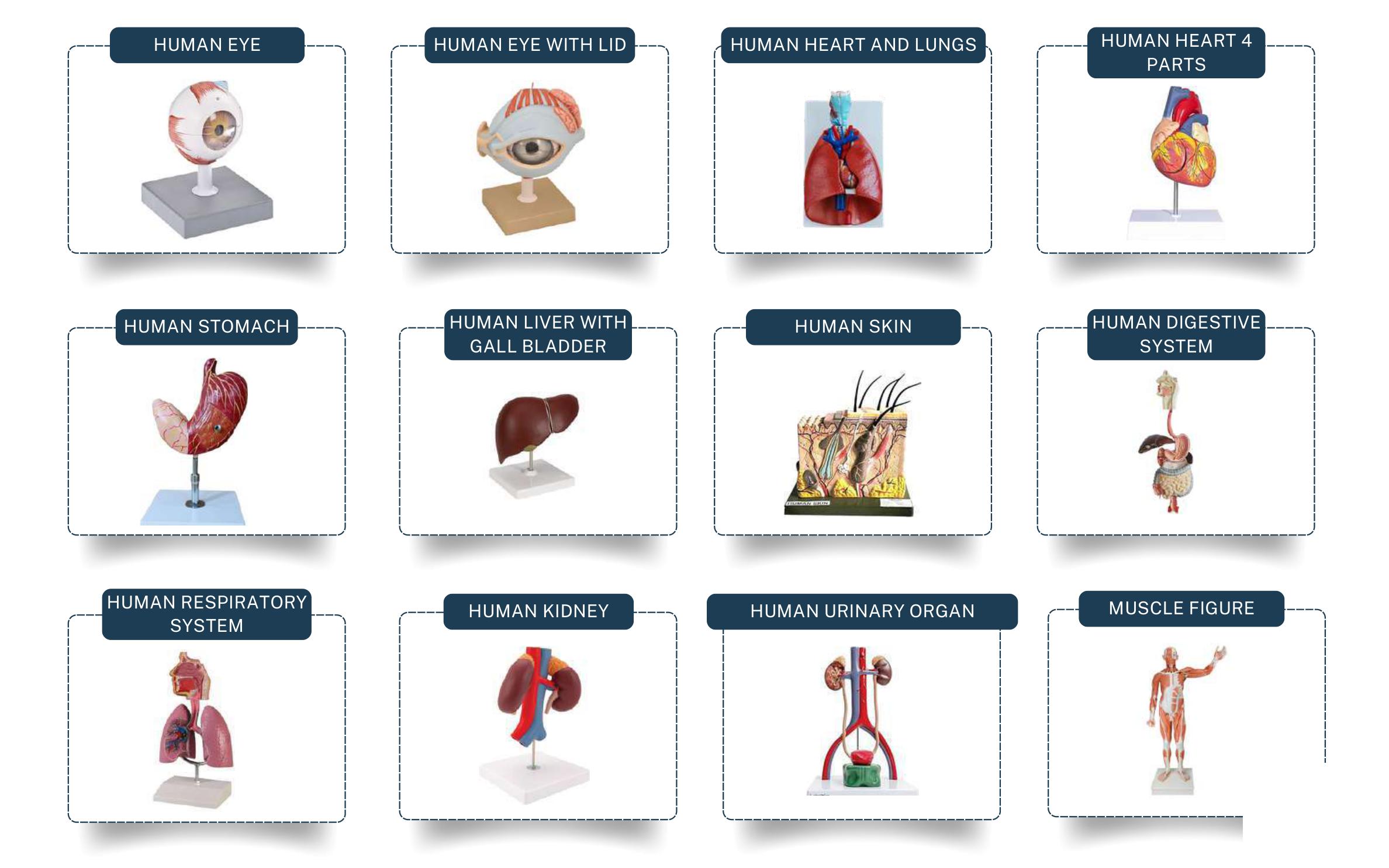 Hospital Furniture, Medical & Surgical Equipment Range - Page 15