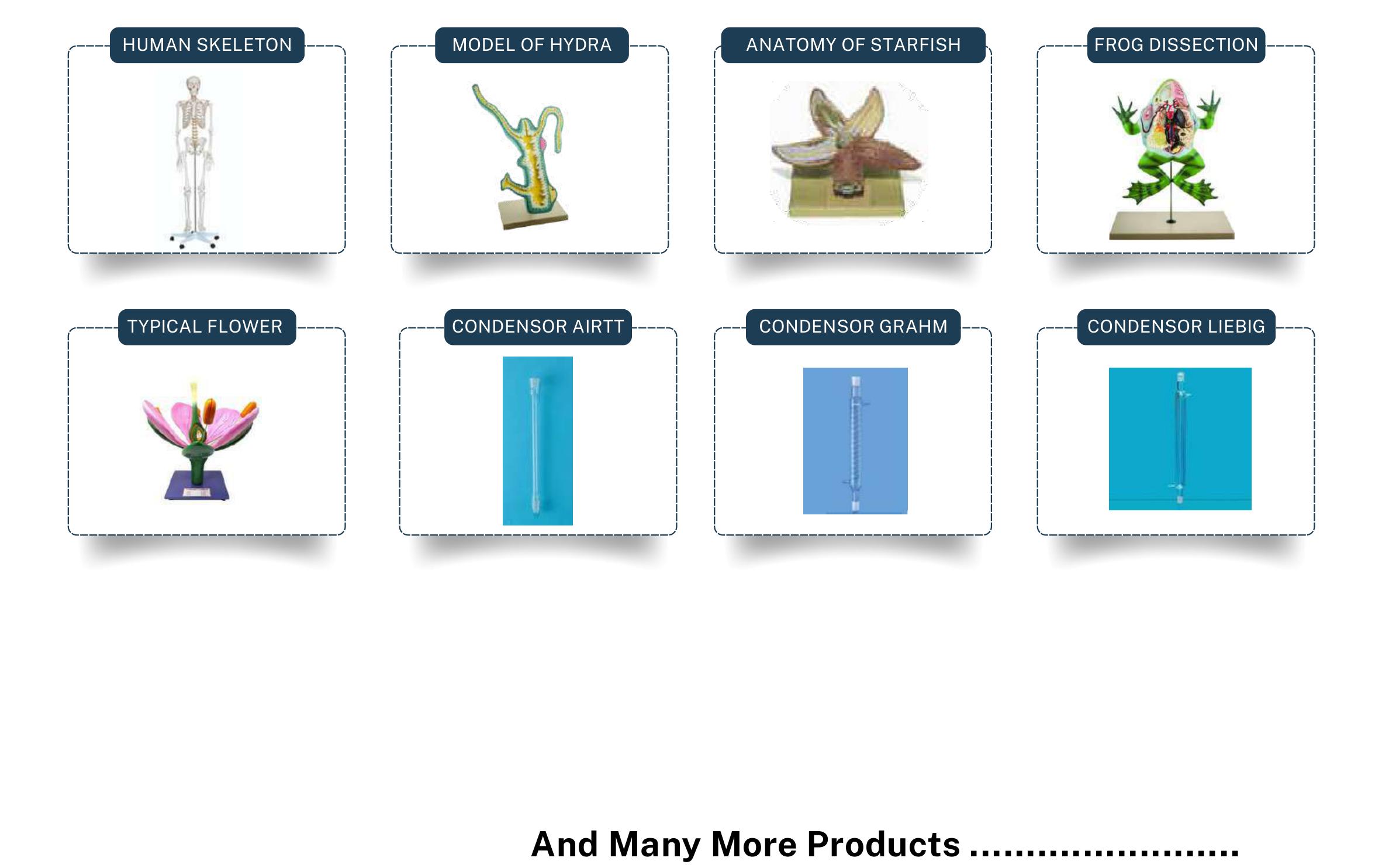 Hospital Furniture, Medical & Surgical Equipment Range - Page 16